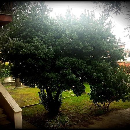 La Casa Degli Oleandri Otel Roma Dış mekan fotoğraf