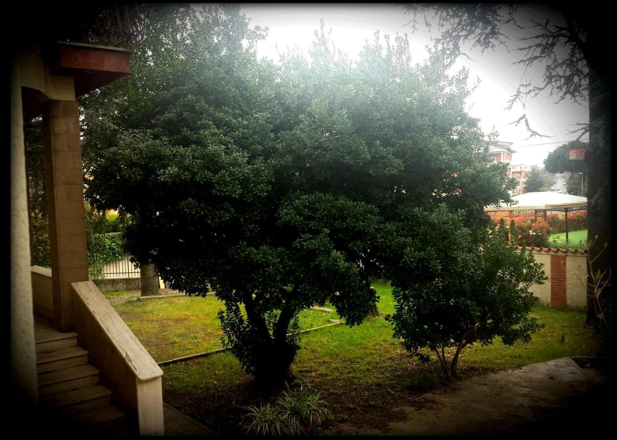 La Casa Degli Oleandri Otel Roma Dış mekan fotoğraf